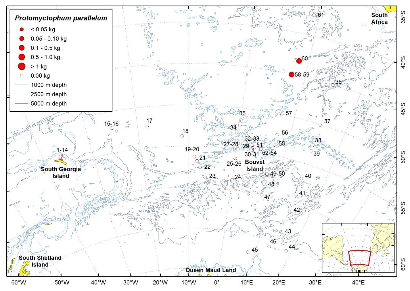 Figure 65b. Trawl stations with presence of Protomyctophum parallelum in the catch (red circles) and trawl stations with no identified presence (empty circles).