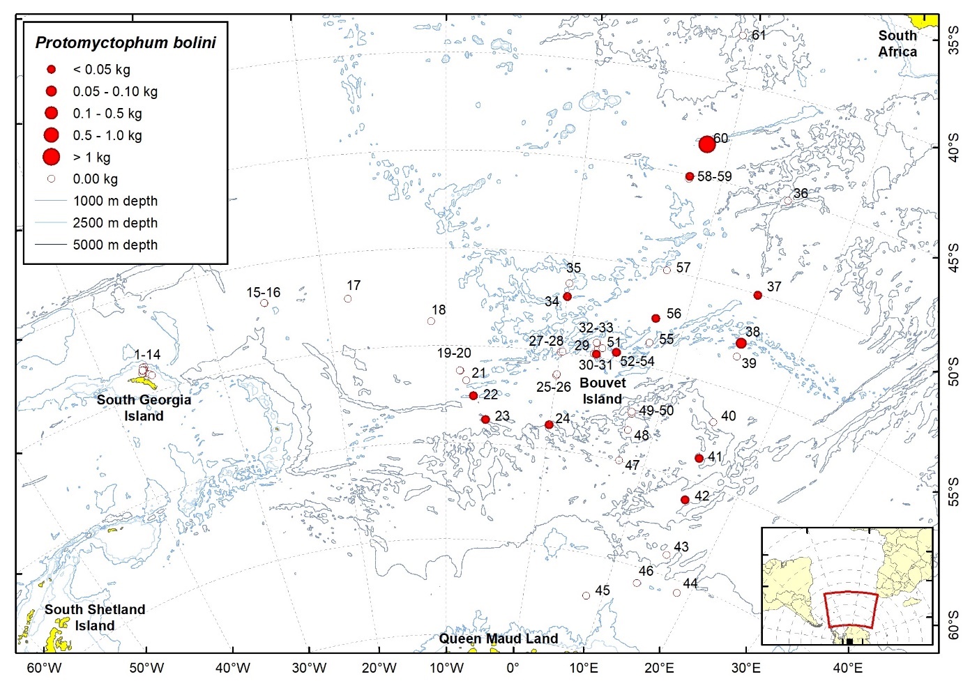 Figure 58b. Trawl stations with presence of Protomyctophum bolini in the catch (red circles) and trawl stations with no identified presence (empty circles).