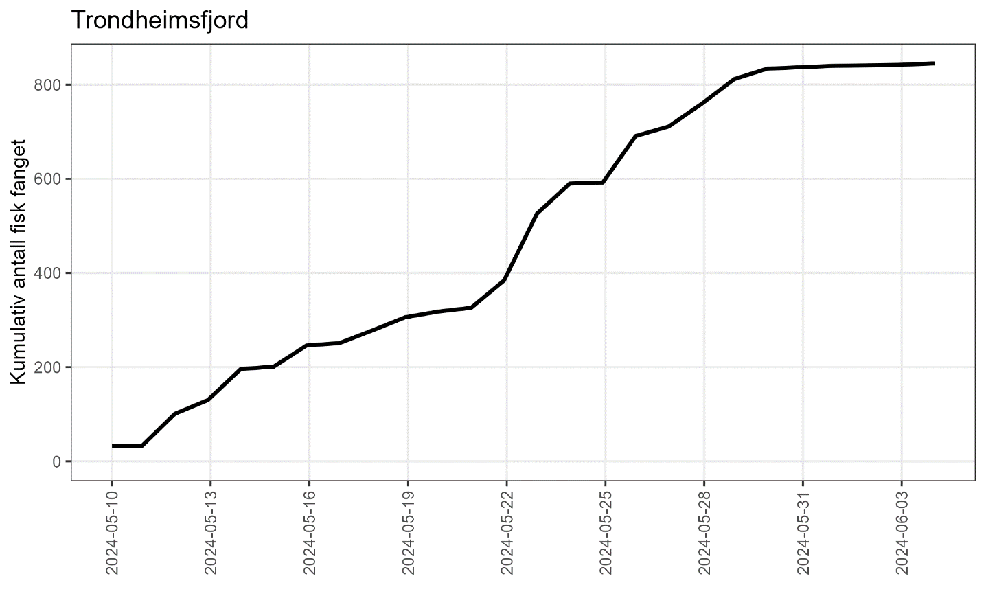 Linje i en graf som viser kumulativt antall fisk fanget.