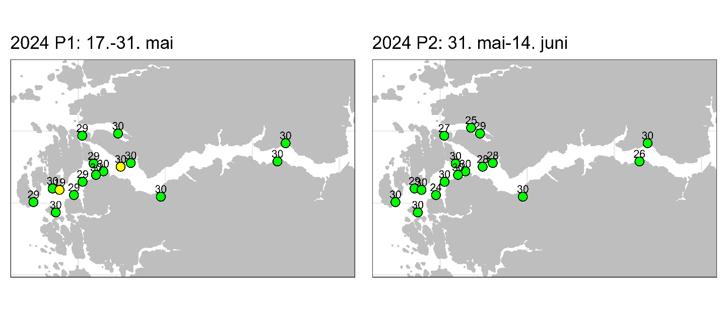 Figur som viser posisjonene til vaktburene, hvor fargen på punktene indikerer antall lus.