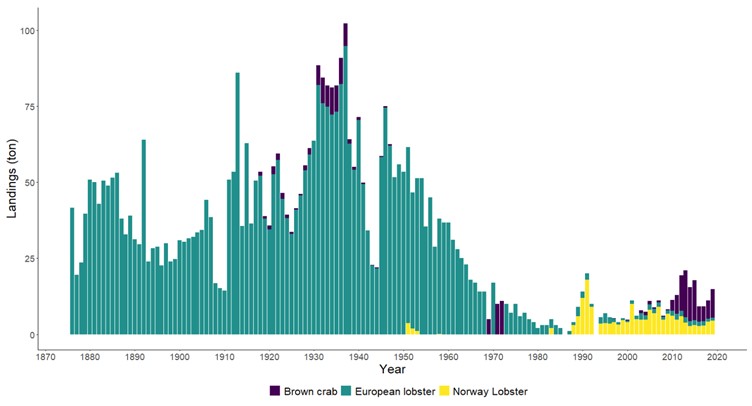 Figur 21. Kommersielle landinger av Taskekrabbe (Brown crab), Europeisk hummer (European lobster) og sjøkreps (Norway lobster) i Aust-Agder fra 1875-2020.