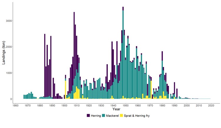 Figur 23. Landinger av pelagisk stimfisk i Aust-Agder fra 1865 til 2000. Herring; sild, Mackerel; makrell og Sprat & Herring fry; Brisling. 