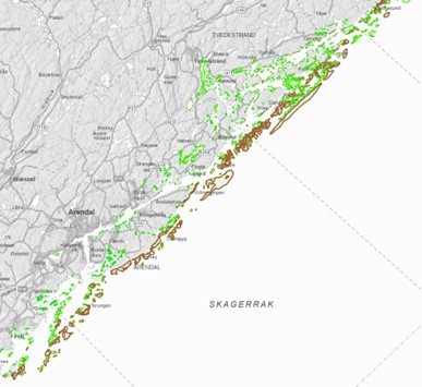 Figur 12. Kartlagte «større tareskogforekomster» (brunt) og ålegress (grønt) i nasjonalparkkommunene. Kilde: Fiskeridirektoratet.