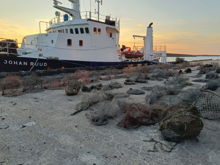 Bilde: Fiskeredskap ryddet i Færder Nasjonalpark våren 2023. Foto: Susanna Huneide Thorbjørnsen/Havforskningsinstituttet.