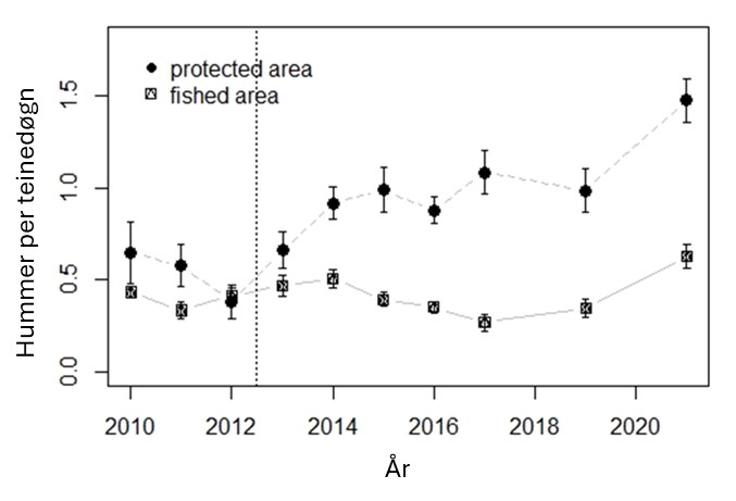 Figur 41. Fangst per teinedøgn (CPUE) for Askerøya hummerfredningsområde (protected) og kontrollområde (fished) fra 2010 til 2021. Stiplet loddrett linje indikerer tidspunkt for etablering av hummerfredningsområdet. Kilde: Oppdatert fra Kleiven et al. (2019b). 