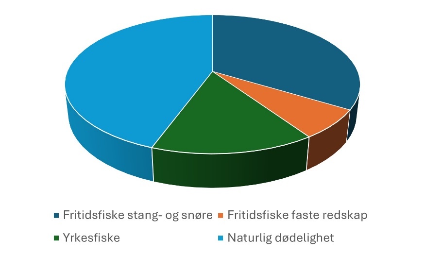 Figur 17. Årsaker til dødelighet hos torsk i området Risør til Lillesand basert på merke-gjenfangststudier. Data hentet fra Kleiven et al. (2016) 