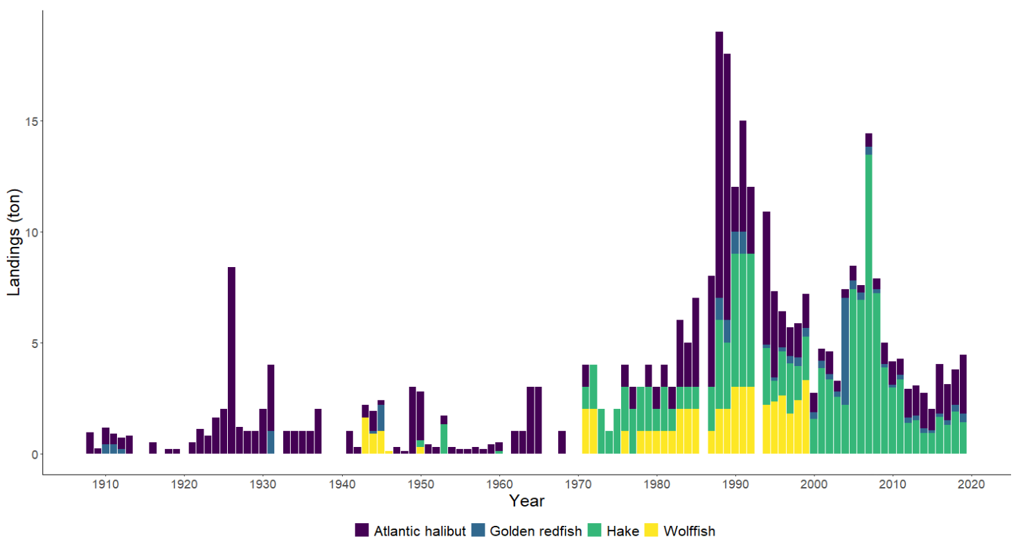 Figur 24. Kommersielle landinger av Kveite (Atlantic halibut), Uer (Golden redfish), Lysing (Hake) og Steinbit (Wolffish) i Aust-Agder fra 1907-2020.