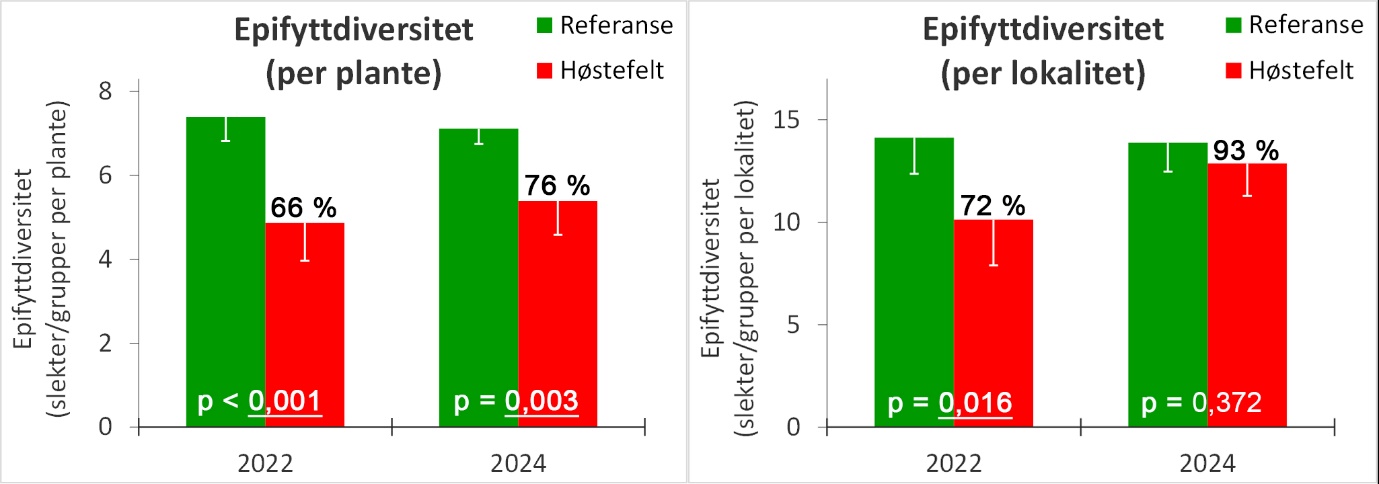 Figur 25. Alder, stilklengde, stilkvekt, hapter(festeorgan)vekt, bladvekt og epifyttvekt for stortareplanter samlet inn på høstelokaliteter (røde søyler) og referanselokaliteter (grønne søyler) i Møre og Romsdal og Trøndelag i 2022 og 2024. Tallene over de røde søylene representerer det prosentvise forholdet mellom høstefeltgjennomsnittene og referansefeltgjennomsnittene. Resultatene (p-verdiene) av t-tester på variasjon mellom høstefelt og referansefelt er angitt nederst til venstre i hvert søylepar med signifikante p-verdier understreket.