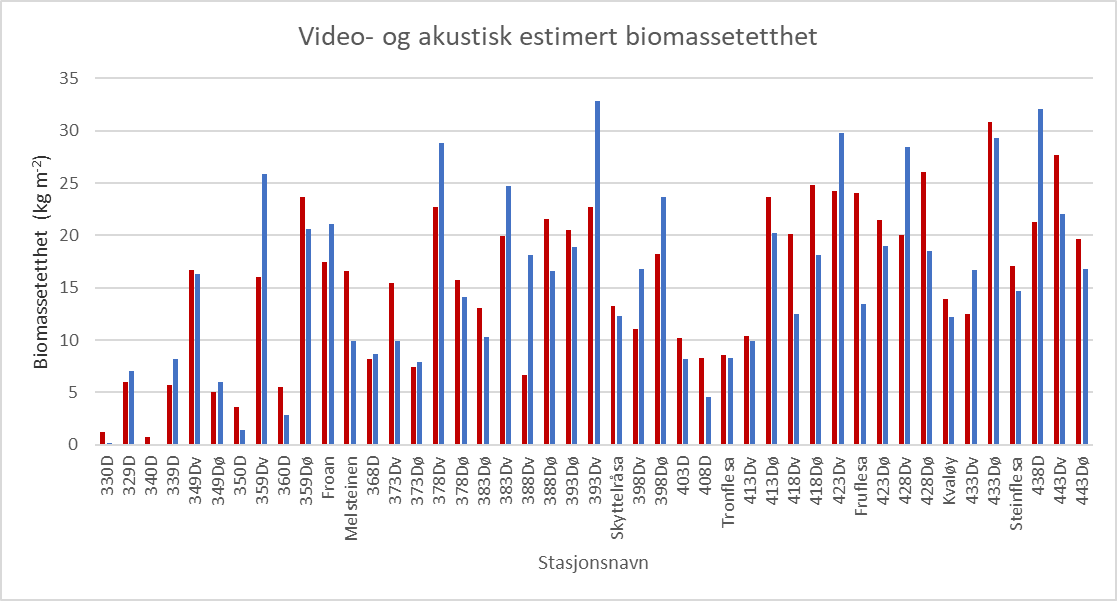 Figur 23. Sammenligning mellom gjennomsnittlig videoestimert tarebiomasse (røde søyler) og akustisk estimert tarebiomasse (blå søyler) i kg per kvadratmeter langs transekt i Trøndelag i 2024. Transektene er listet fra sør (til venstre) mot nord (til høyre).