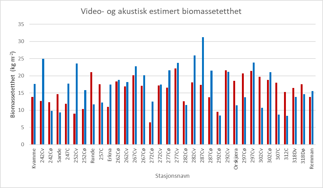 Figur 23. Sammenligning mellom gjennomsnittlig videoestimert tarebiomasse (røde søyler) og akustisk estimert tarebiomasse (blå søyler) i kg per kvadratmeter langs transekt i Møre og Romsdal i 2024. Transektene er listet fra sør (til venstre) mot nord (til høyre).