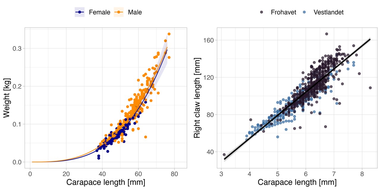 Two dot diagrams. The left diagram; relationship between weight and size of individual Nephrops, by sex: x-axis (carapace length in mm) from 0 to 90 and y-axis (weight in kg) from 0 to 0.35. Females with blue dots and males with orange dots. The right diagram; length of right claw for males in relation to carapace length: x-axis (carapace length in mm) from 3 to 8.5 and y-axis (right claw length in mm) from 20 to 170 mm. Frohavet black dots and Vestlandet blue dots.