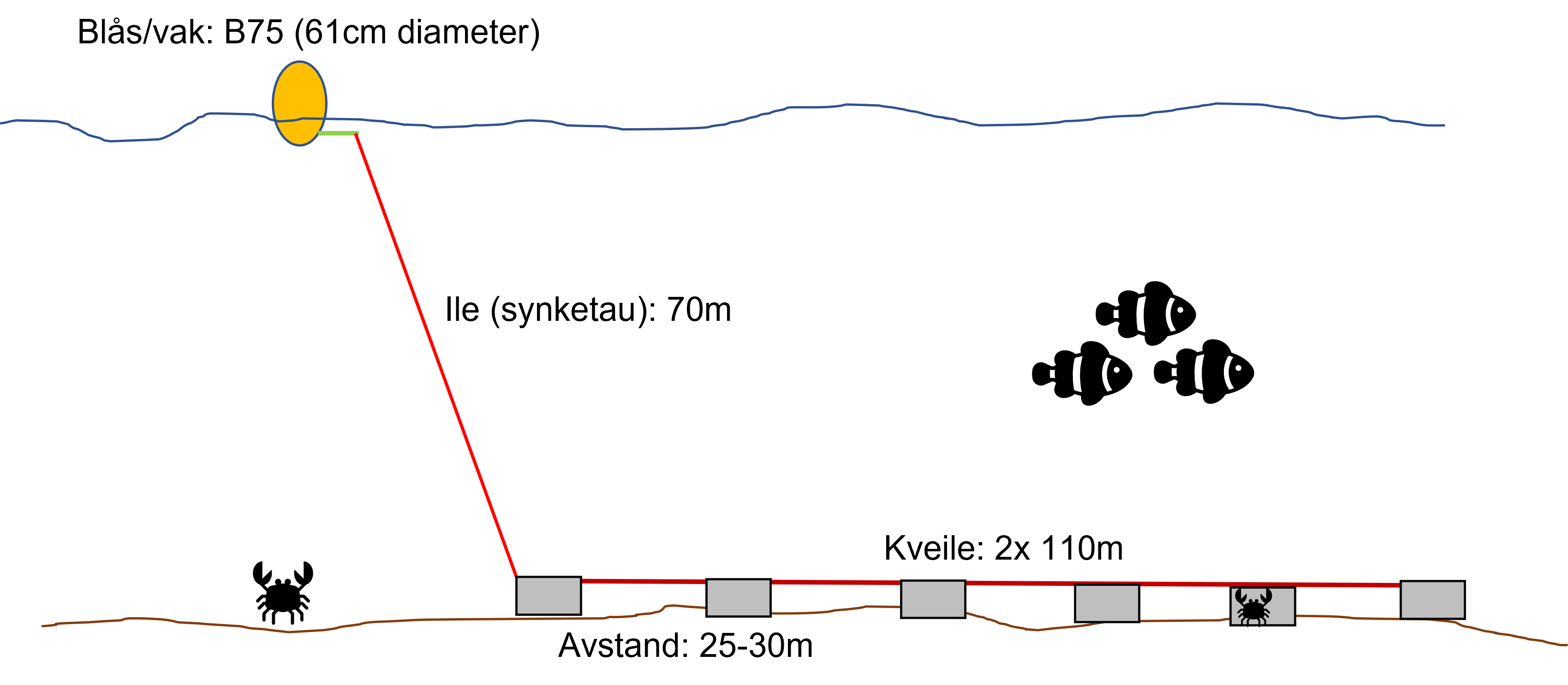 The schematic overview of the pot lines for brown crab shows six pots on the sea floor, distance of 25 to 30 m between the pots, sinking rope to the surface, attached to a floating device. 