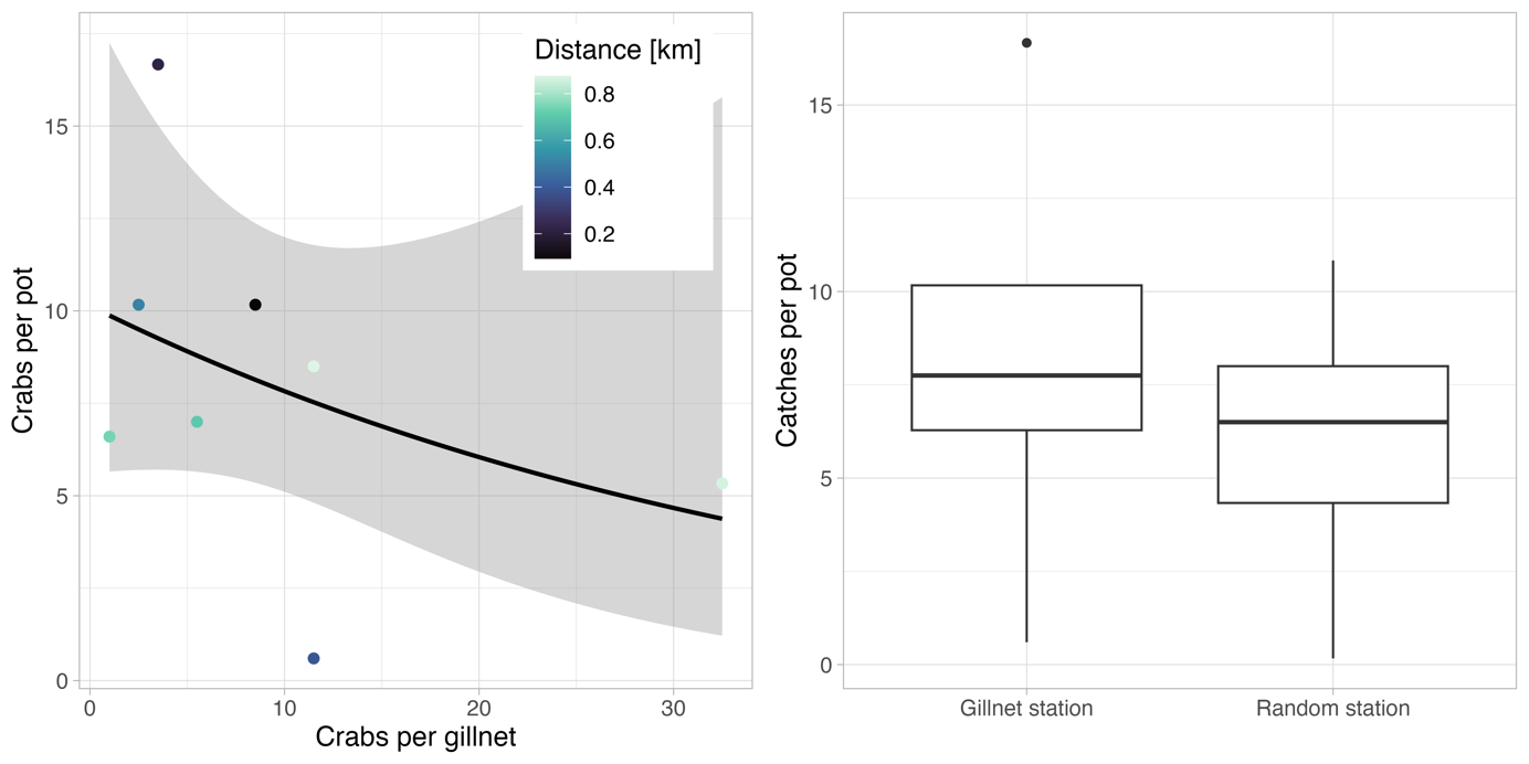 A dot chart (left) and a box plot (right). The dot chart: Relationship between crab catches per pot (y-axis, from 0 to 17) and gillnet (x-axis, from 0 to 35) at the stations closest to each other. Dots represent distance: Light green = 0.8 km, green = 0.6 km, blue = 0.4 km and black = 0.2 km. The box plot: crab catch rates at pot stations close to where gillnets were set (“Gillnet station”, left bar) or at randomized positions (“Random station”, right bar), y-axis from 0 to 17.