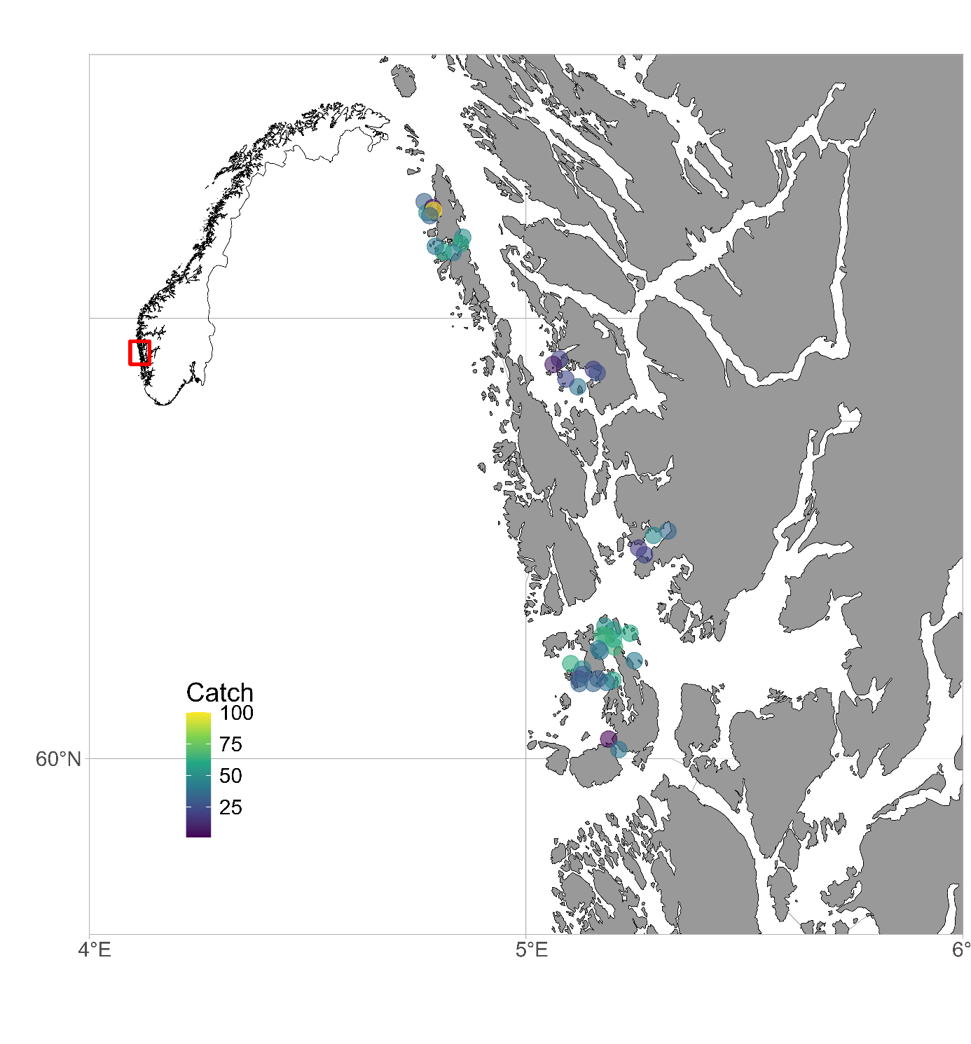 A map of parts of Western Norway (approximately from Stord to Lindås) and an overview map of Norway. The circles represent crab catches per station and go from 100 (bright colors) to 0 (dark colors). The stations are clustered around Austevoll, Fanafjorden/Raunafjorden, Western part of Askøy and around the northern part of Øygarden. 