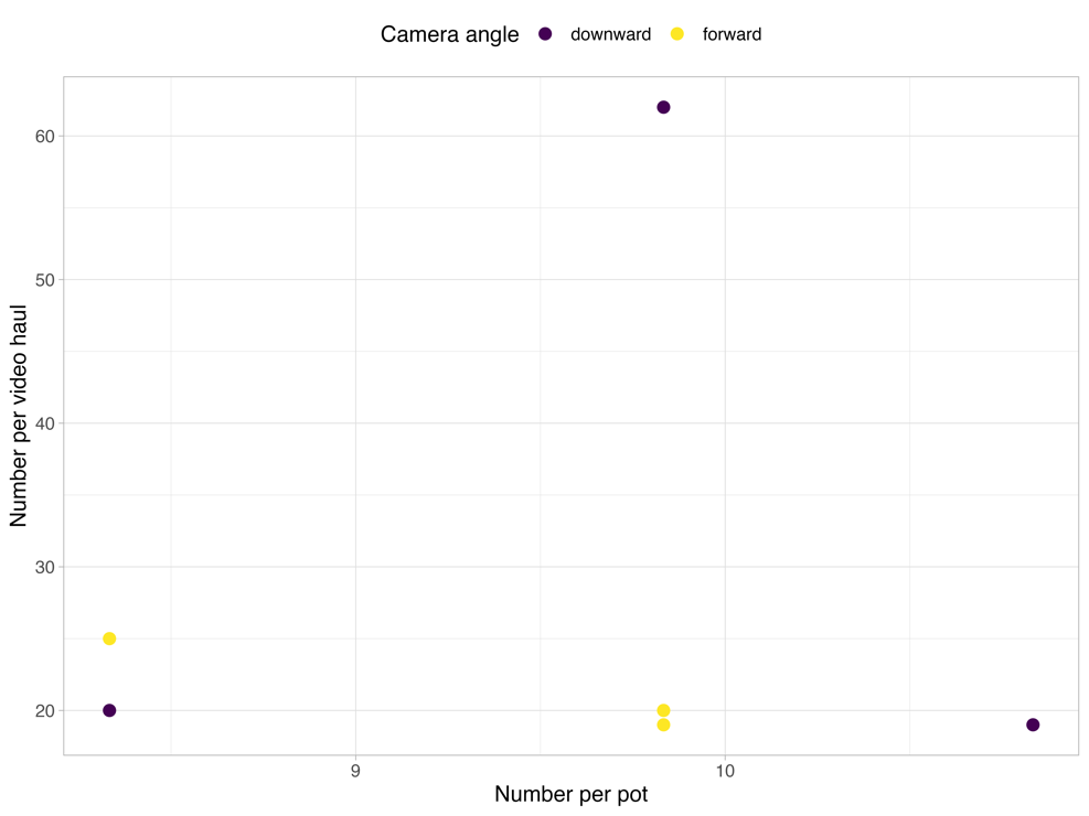 Dot chart with Number per pot (x-axis, from 8 to 11) and Number per video haul (y-axis, from 20 to 65). Purple dots (camera angle downward) and yellow dots (camera angle forward). 