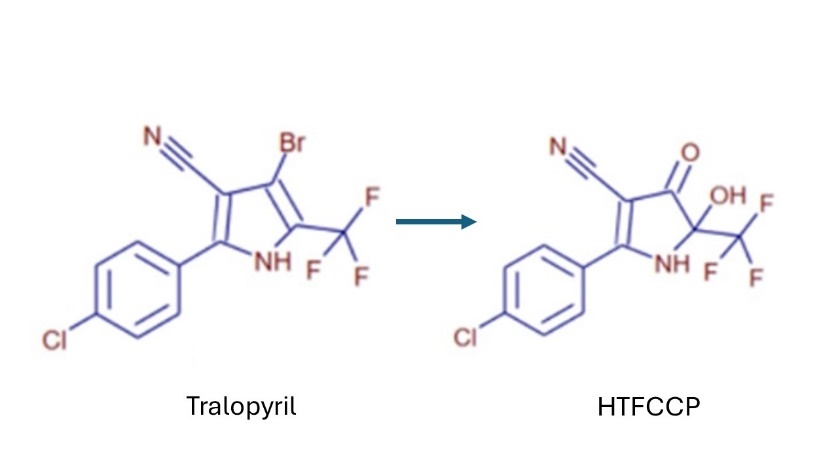 Tralopyril and its de-brominated transformation product 2-(4-chlorophenyl)-5-hydroxy-4-oxo-5-(trifluoromethyl)-4,5-dihydro-1H-pyrrole-3-carbonitrile (HTFCCP).