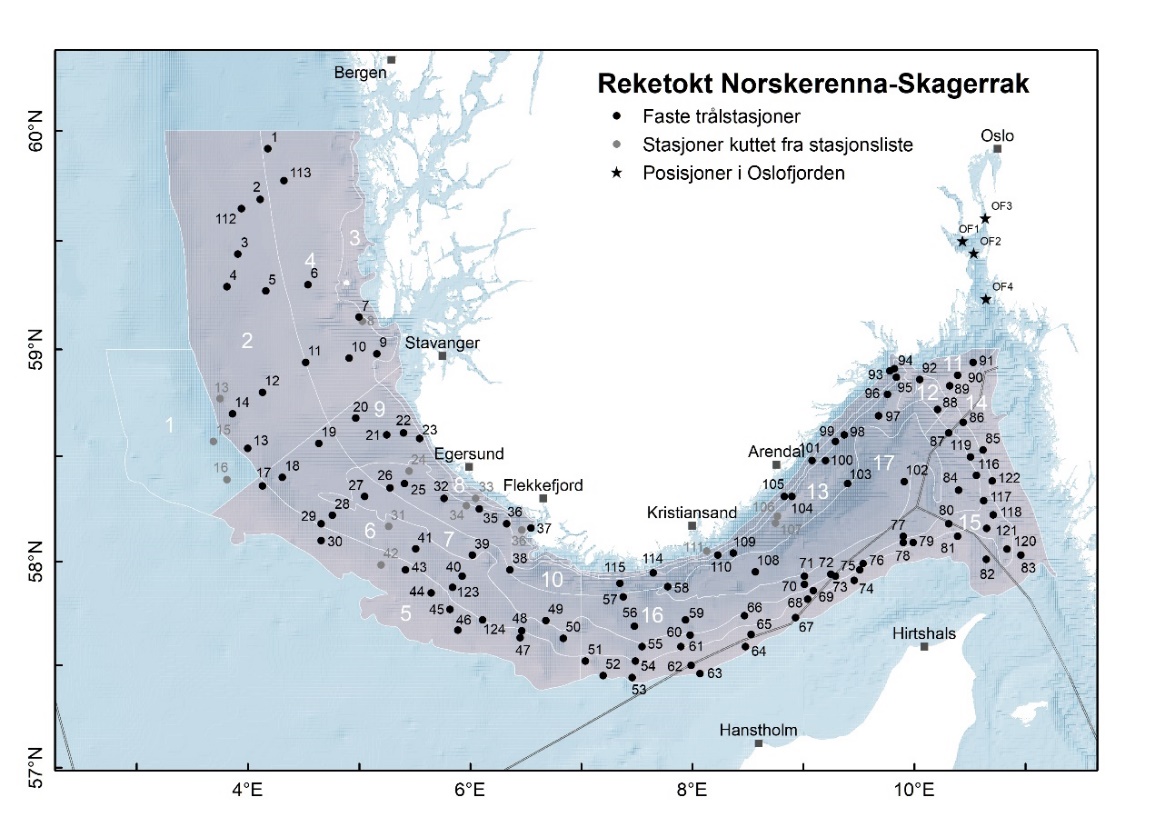 Kartutstnitt over Skagerrak og Norskerenna der svarte nummererte punkter angir de faste trålstasjonene og de grå nummererte punktene angir stasjoner som ble kuttet. De 17 strataene er vist som innrammede felter (hvite kanter) og hvite nummer fra 1 til 17. Posisjoner er vist i bildet, 2°E til 12°E langs nedre bildekant og 57°N til 60,5°N langs høyre kant.