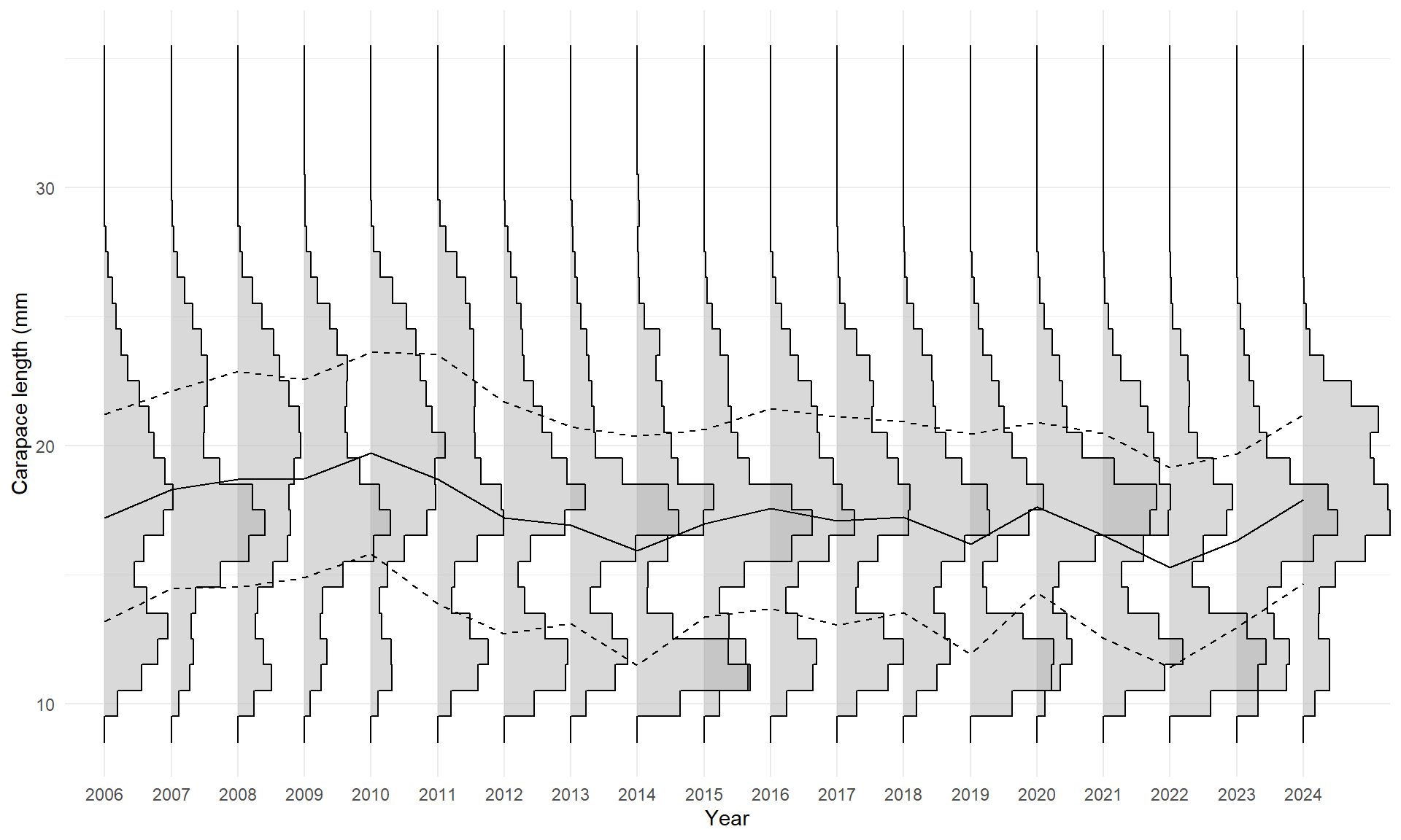 Vertikale histogram over lengdefordeling, ett for hvert år mellom 2006 og 2024. Y-aksen (carapax lengde i mm) fra 8 til 30. Linjen er årlig gjennomsnittlig lengde, og de stiplede linjene er standardavvik. 