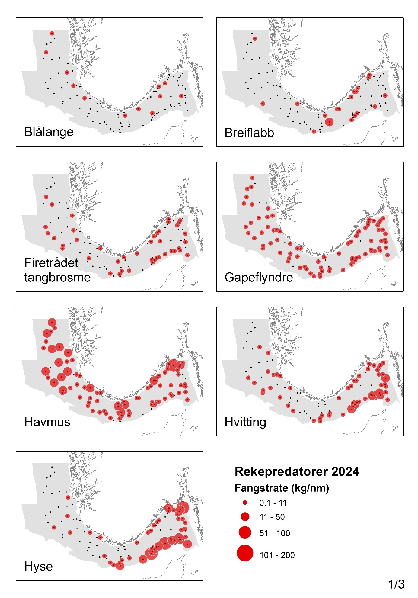 Ett kartutsnitt for hver av følgende arter (kartutsnittene er stablet to og to): Blålange, breiflabb, firetrådet tangbrosme, gapeflyndre, havmus, hvitting og hyse. Boblene er proporsjonale med fangstene, og har fire ulike størrelser: de minste er 0,1-11 kg per nautisk mil, de nest minste er 11-50 kg, de nest største er 51-100 kg og de største boblene 101-200 kg per nautisk mil. 