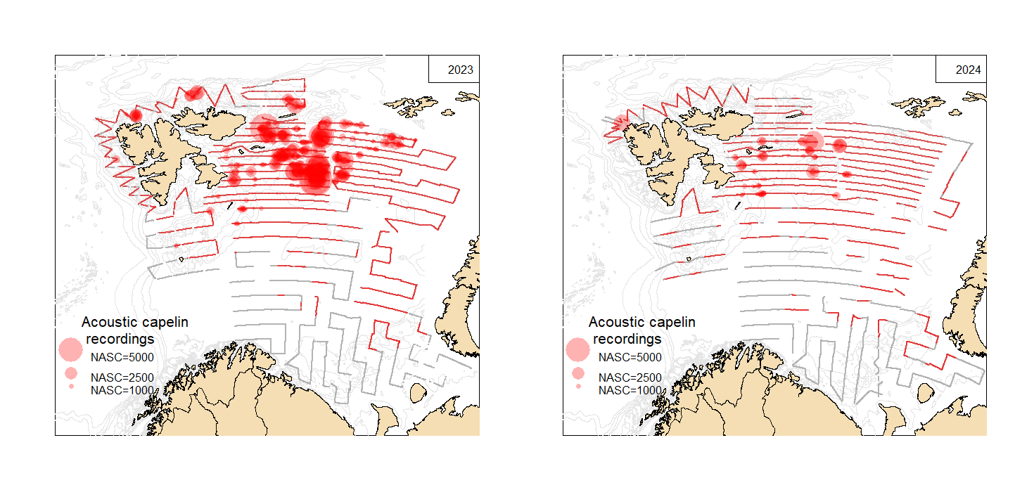 Figure A1. Survey coverage and geographical distribution of acoustic recordings of capelin in au-tumn 2023 and 2024. The size of the circles corresponds to nautical acoustic scattering coefficient (NASC; m2/nmi2) per 1 nautical mile. Grey lines mark transect sections with no acoustic recordings of capelin. The south western strata were also covered in both years, but there were no capelin re-cordings there so it was excluded from the estimate and the map.  