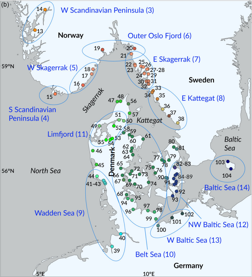 Fig 3. Eksempel på kart som viser de genetiske klynger av S. trutta rundt Kattegat og Skagerrak frå Bekkevold mfl. (2024).