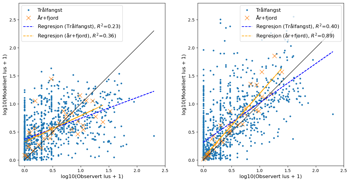 Gjennomsnittlig mengde observert og modellert lus per trålfangst (blå prikker) og per
år/fjord-kombinasjon (oransje kryss) uten (til venstre) og med (til høyre) områdekorrigerende faktor.
Dataene er plottet på log10+1 skala. Svart linje markerer 1-1 forholdet.