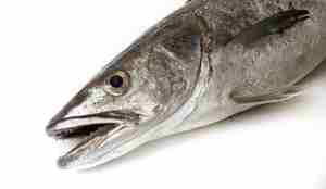 Død lysing med åpent gap på hvitt bord.