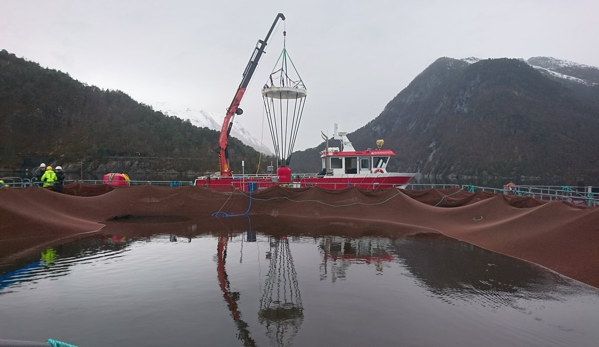 Luftkuppel og og lodd benyttet i forsøk