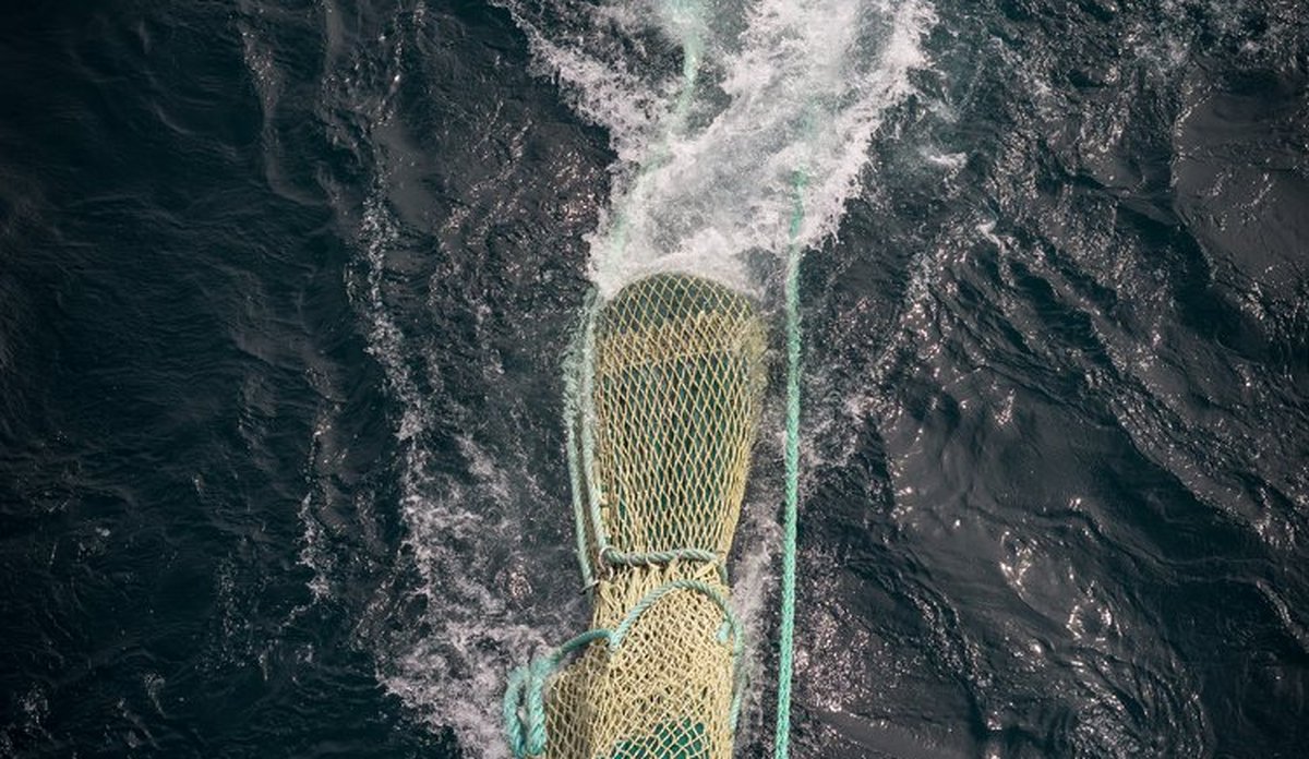 
a trawl at sea