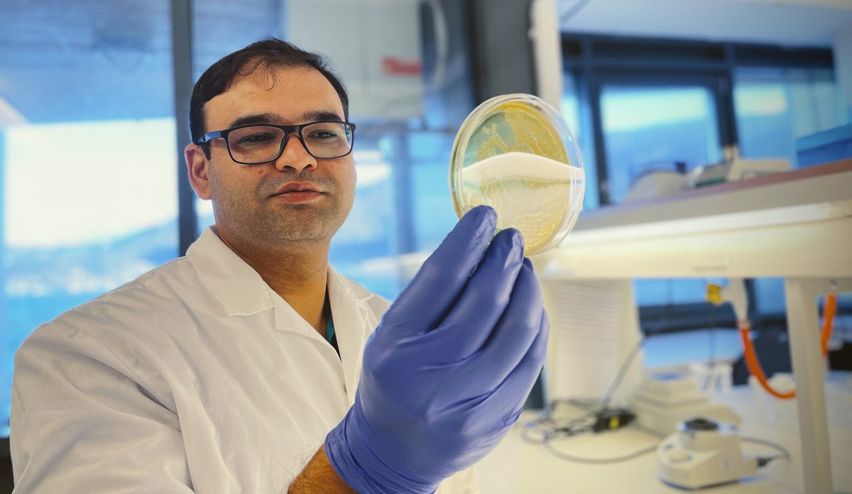 
En forsker i hvit labfrakk og blå plasthansker er på labben. I hånden holder han en petriskål med prøver.