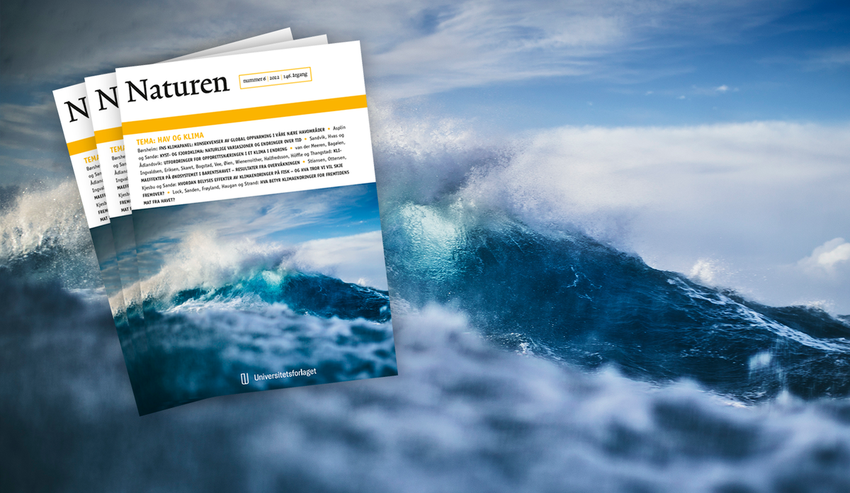 
Forside av tidsskriftet Naturen nr 6 2022 om hav og klima, med illustrasjonsbilde av bølger.
