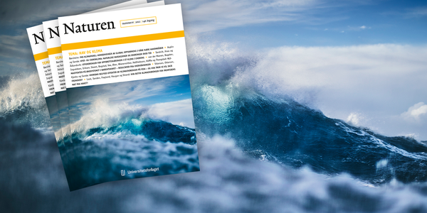 

Forside av tidsskriftet Naturen nr 6 2022 om hav og klima, med illustrasjonsbilde av bølger.