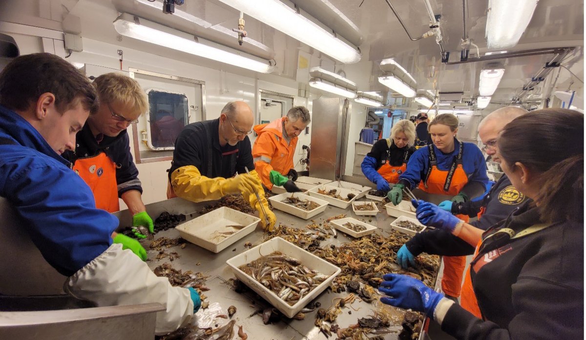 foto av forskere i sving om bord på skip