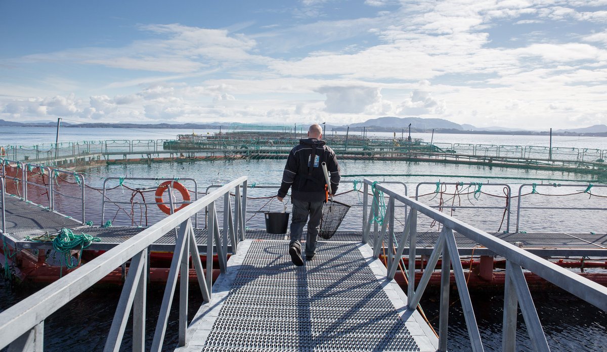 oppdrettsanlegg ill foto Eivind Senneset