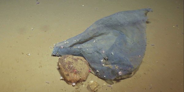 

Bilde av sandbunn som er delvis dekket av plast.
