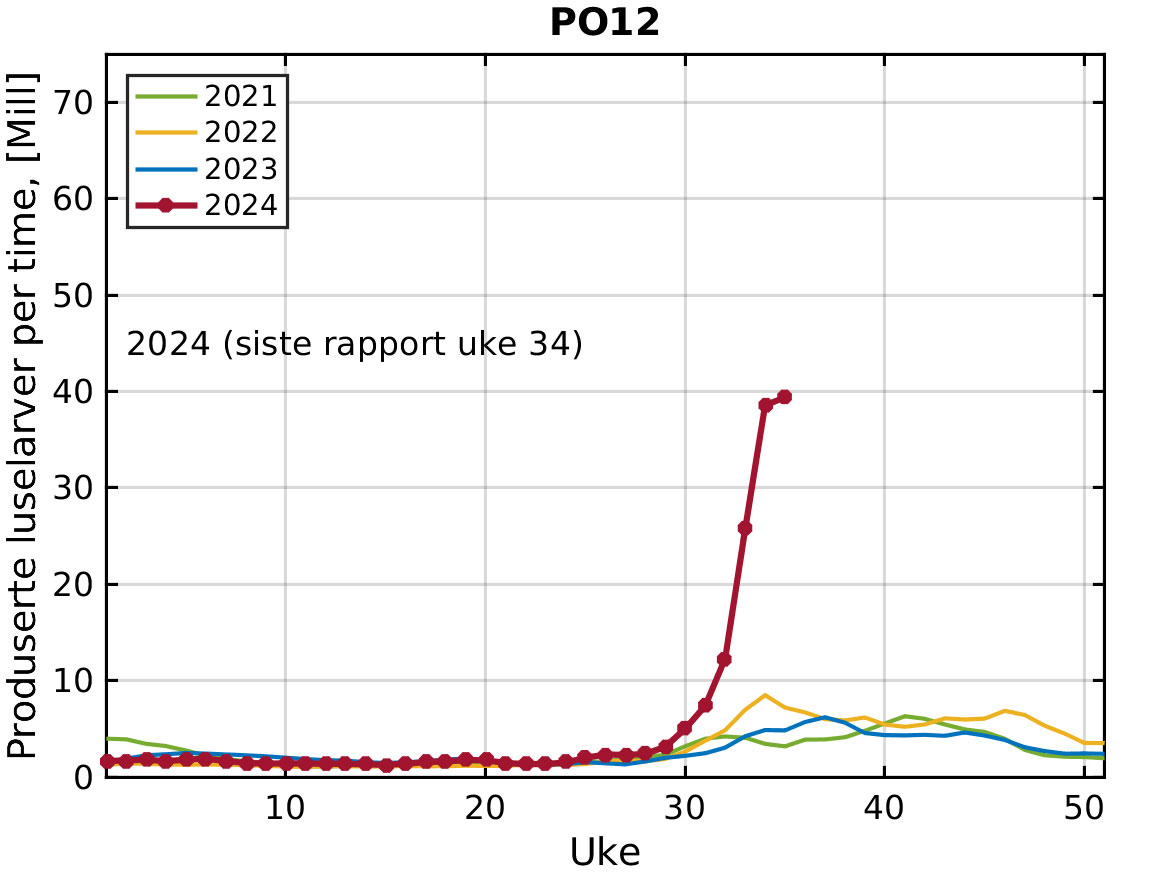 Graf som viser at produksjonen av luselarver går nesten rett oppover fra ca uke 30 til 34.