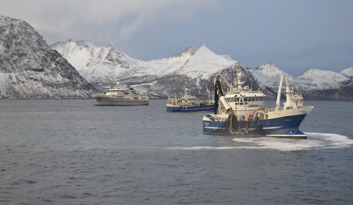 
To store fiskebåter og et forskningsfartøy på sjøen utenfor Senja med snøkledde fjell i bakgrunnen.
