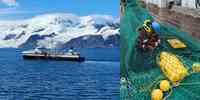 

Montasje med to bilder. Til venstre et skip i blått hav med snøkledde fjell bak. Det andre viser en mann sittende på en trålpose på dekk. 