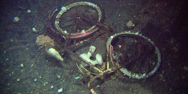 

Kolasj av bilder som viser søppel på havbunnen: hansker, poser, fiskeutstyr.