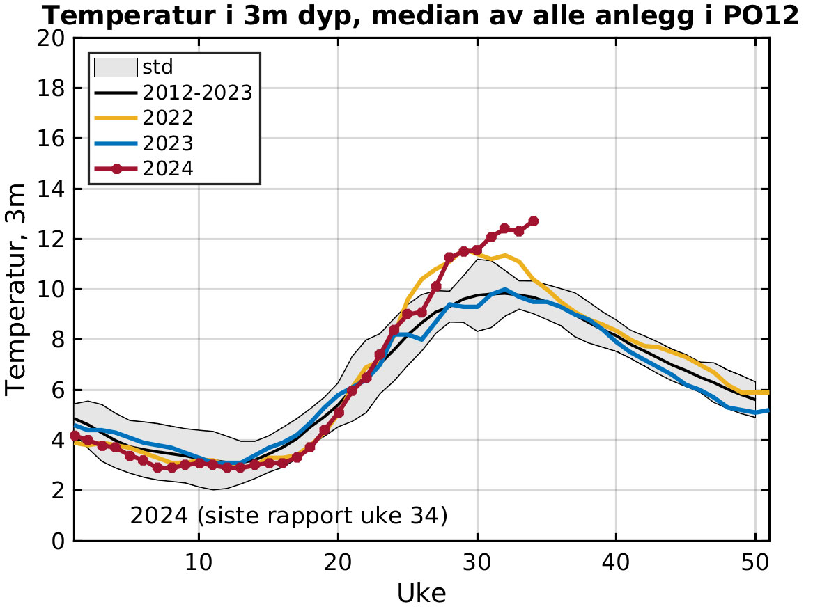 Graf som viser utvikling av temperatur gjennom flere år. Årets markering viser at temperaturen ligger høyere enn normalt fra ca uke 30.