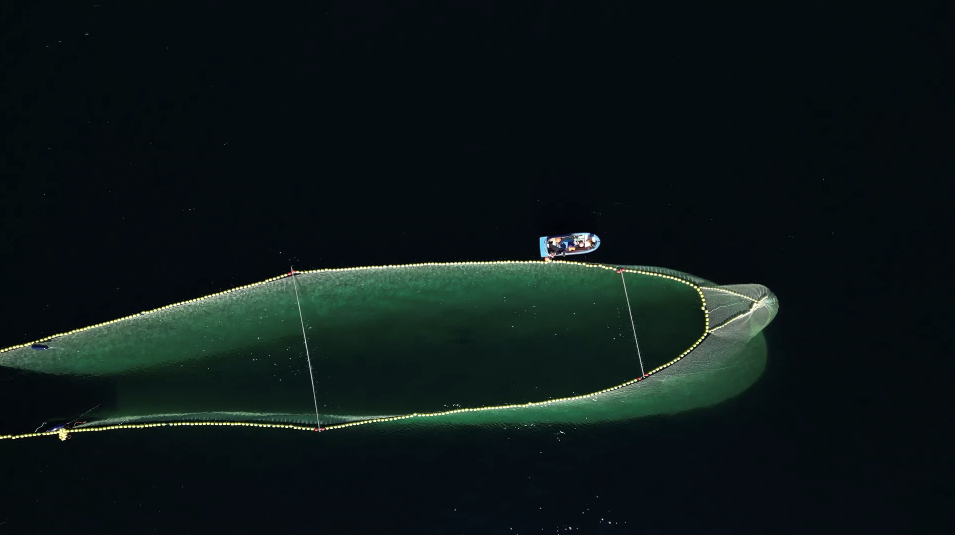 luftfoto av spesiell transportmerd for fisk sett fra oven, lettbåt ved siden av