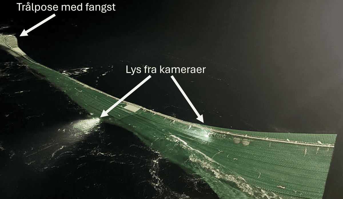 Trålen som kommer opp om bord