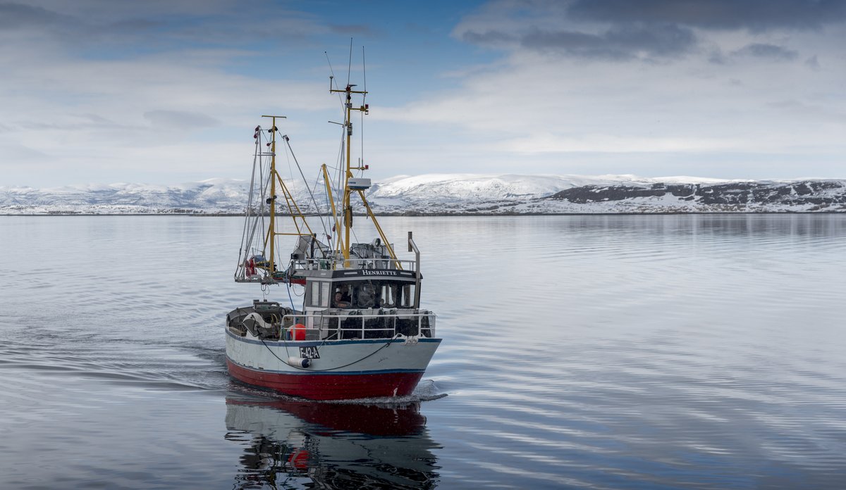 foto av båt på fjorden